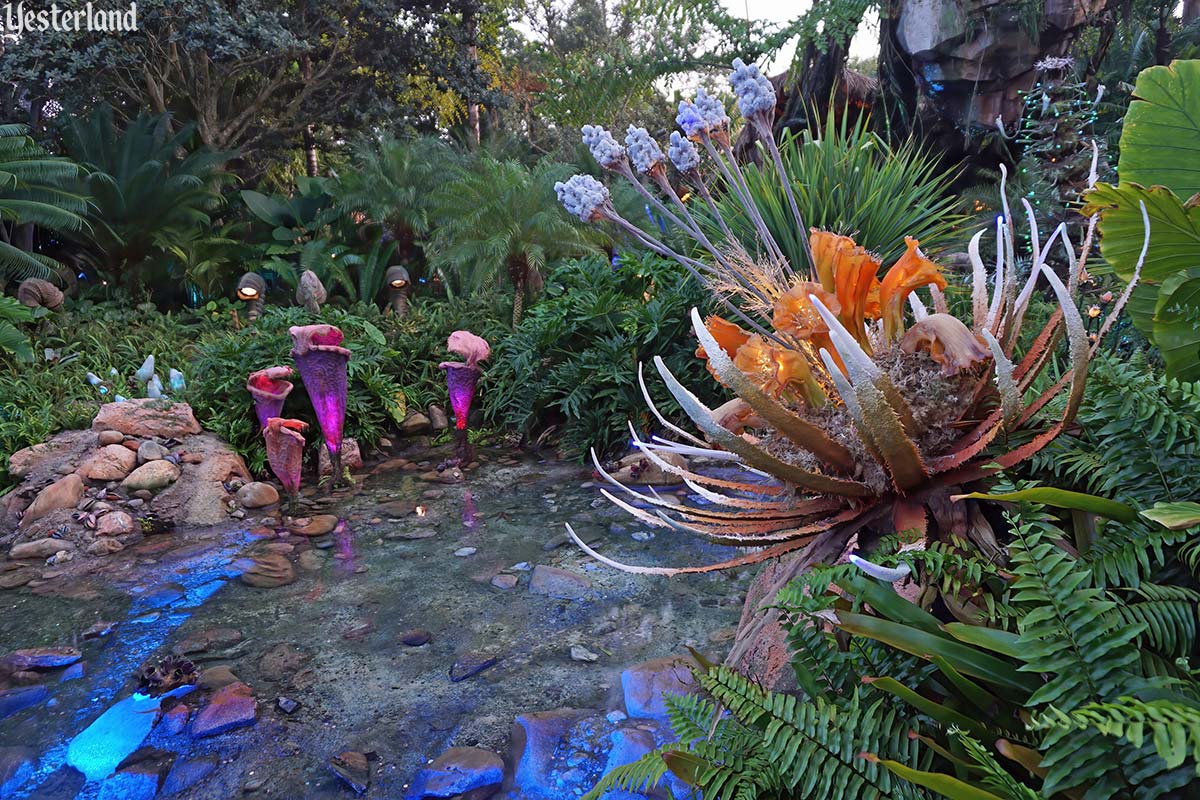 Pandora - The World of Avatar at Disney’ Animal Kingdom