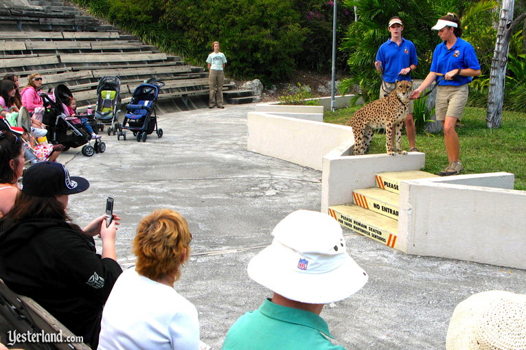 Animal demonstration at Miami Metrozoo, 2009