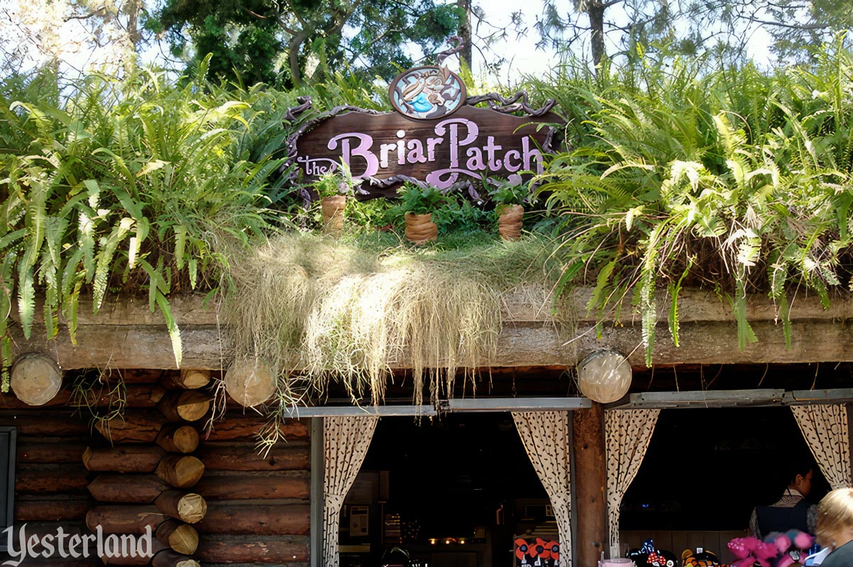 The Briar Patch in Critter Country at Disneyland