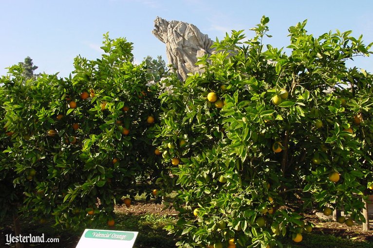 Bountiful Valley Farm at Disney's California Adventure