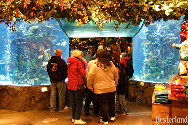 Rainforest Cafe at the Disneyland Resort