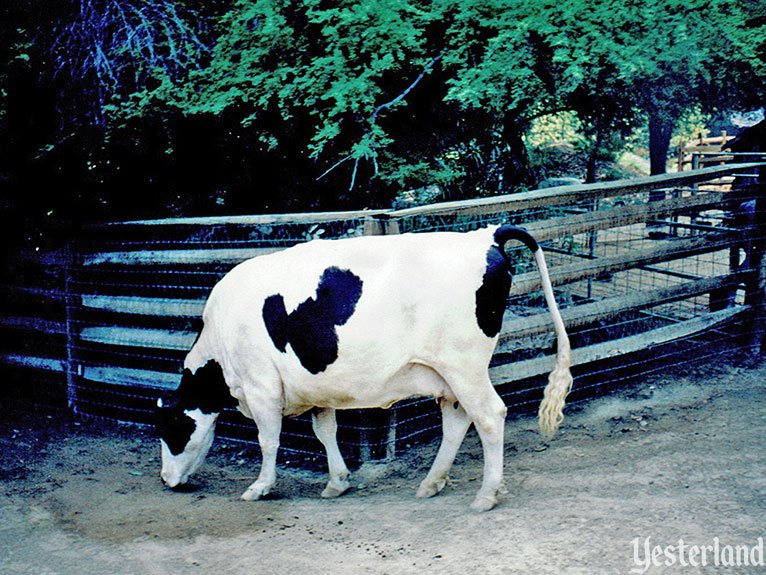 Big Thunder Ranch, Disneyland