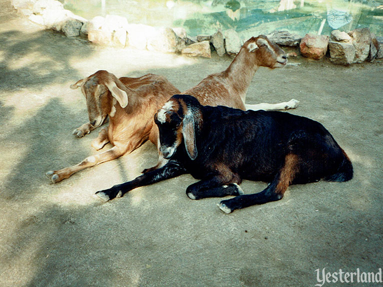 Big Thunder Ranch, Disneyland