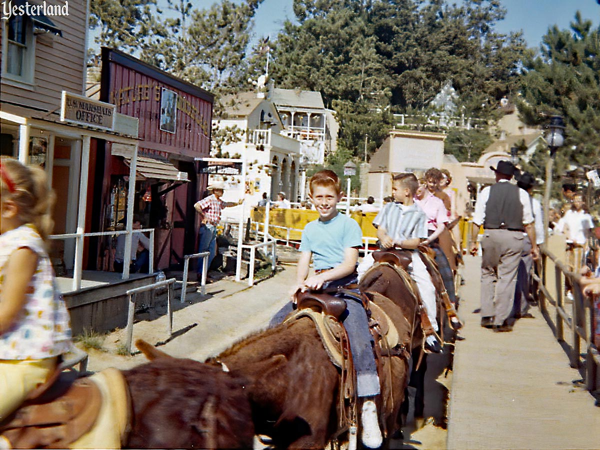 Rainbow Ridge Pack Mules