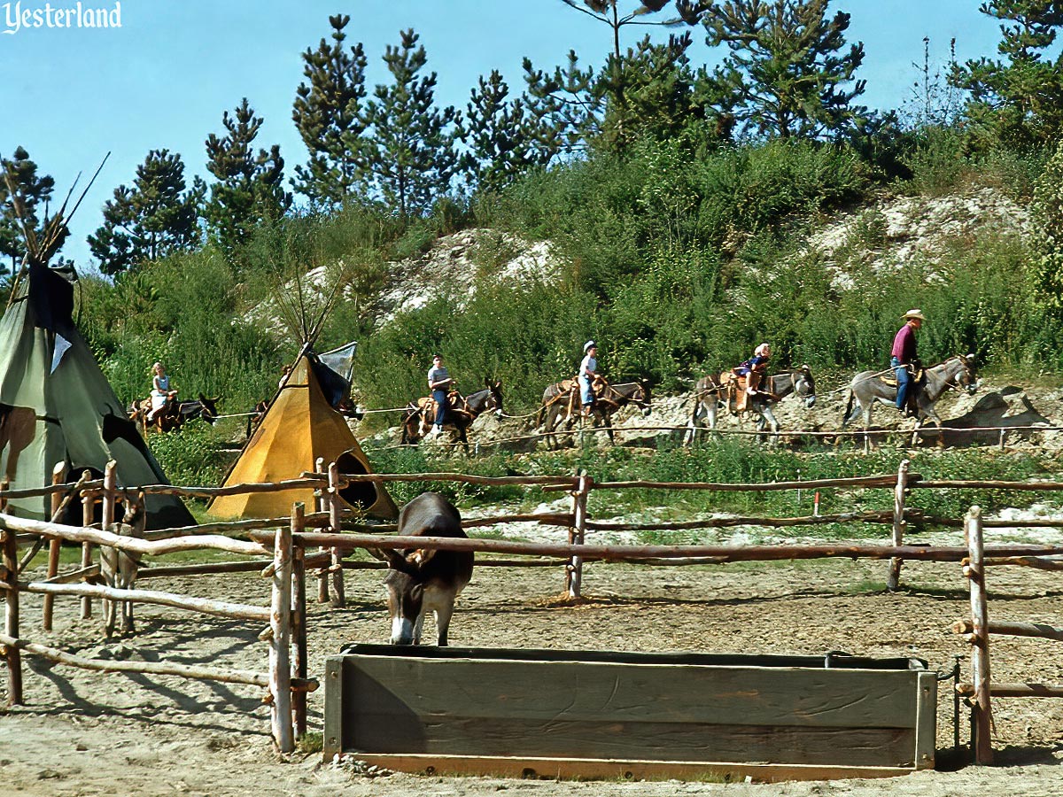 Rainbow Ridge Pack Mules