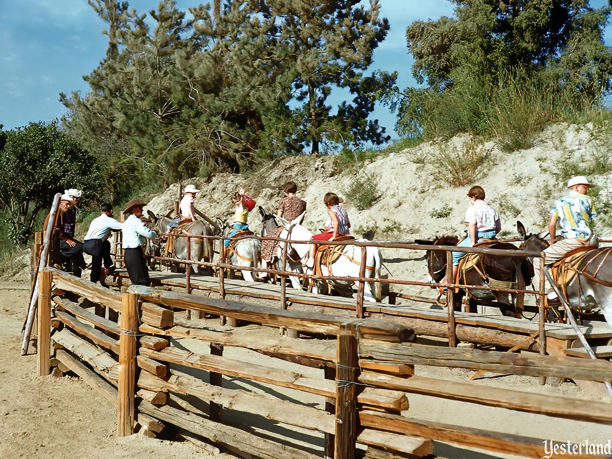 Rainbow Ridge Pack Mules