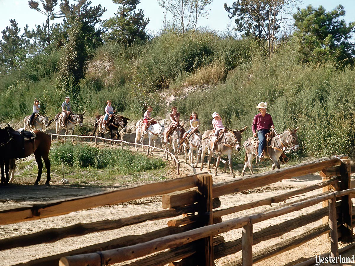 Rainbow Ridge Pack Mules