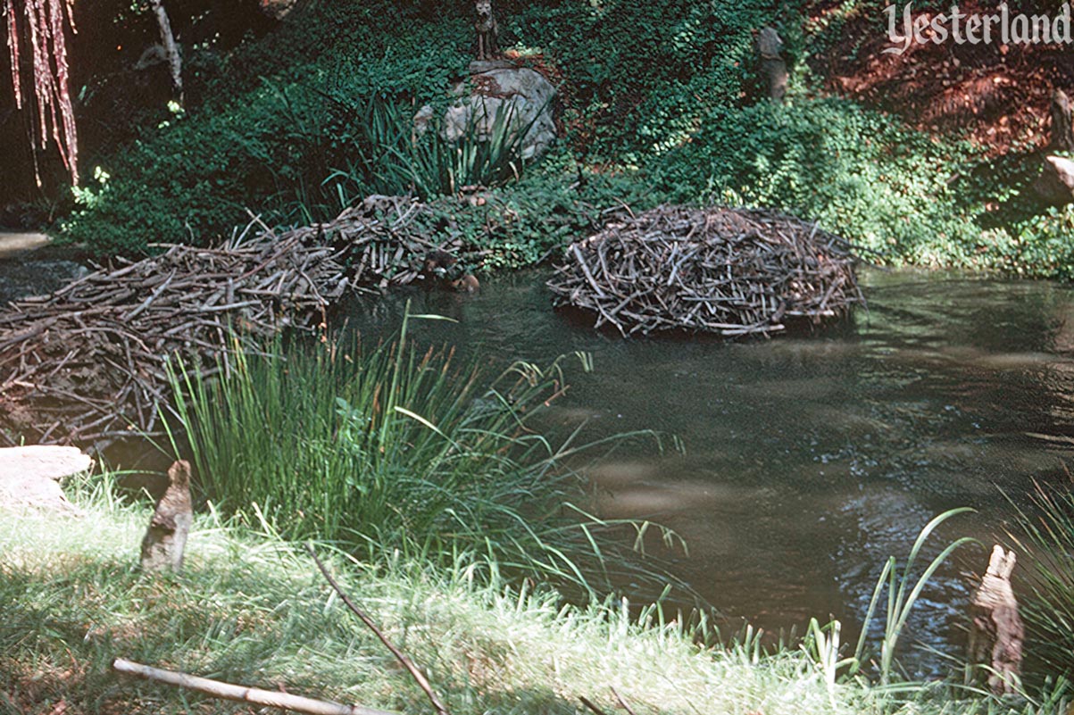 Mine Train Through Nature's Wonderland at Disneyland