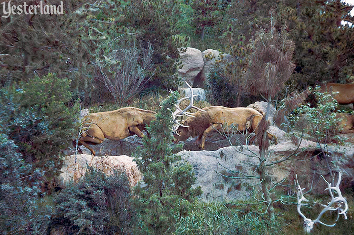 Mine Train Through Nature's Wonderland at Disneyland