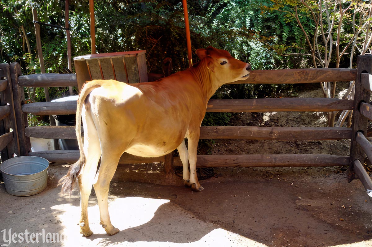 Little Patch of Heaven at Big Thunder Ranch, Disneyland