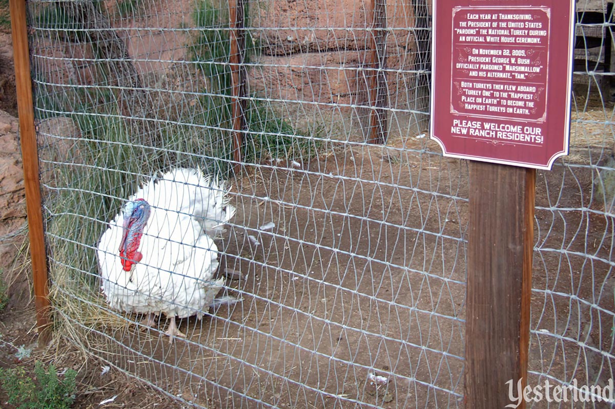 Happiest Turkeys on Earth and Santa's Reindeer Roundup at Disneyland