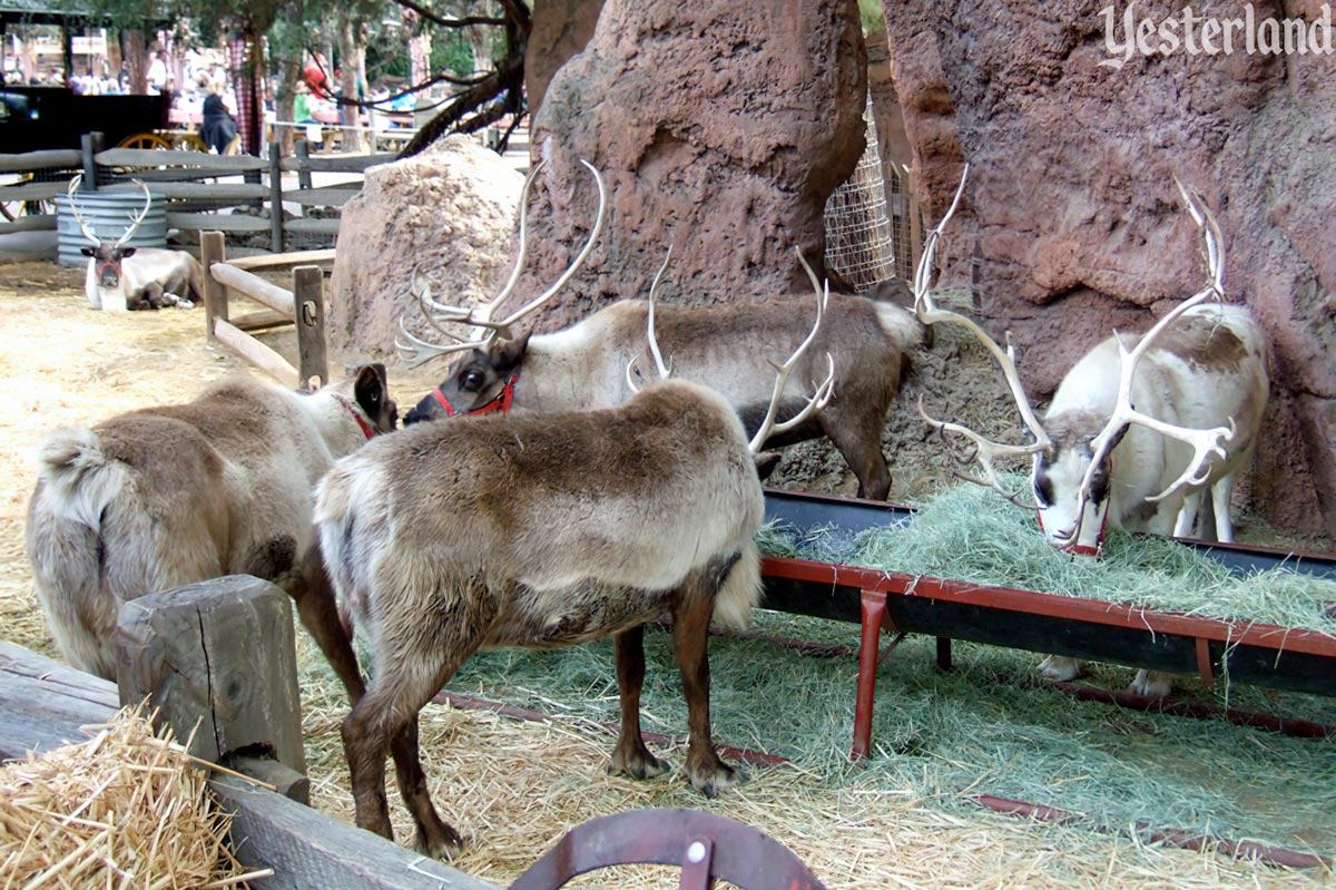 Happiest Turkeys on Earth and Santa's Reindeer Roundup at Disneyland