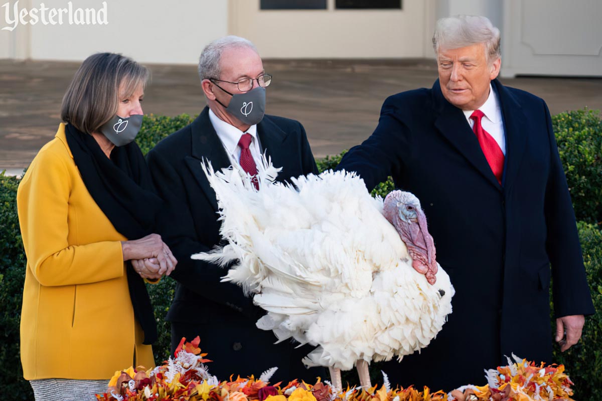 Presidential pardon of Thanksgiving turkey