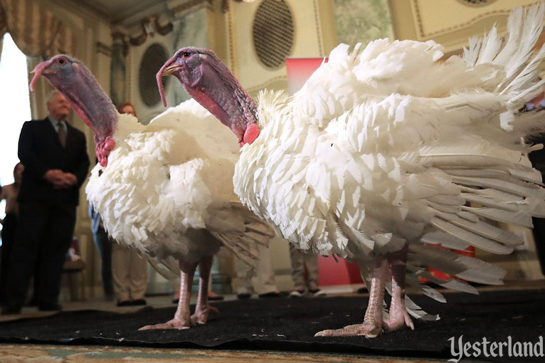 Presidential pardon of Thanksgiving turkey