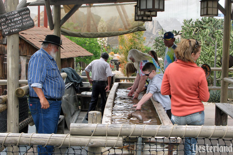 Pan For Gold at Knott's Berry Farm