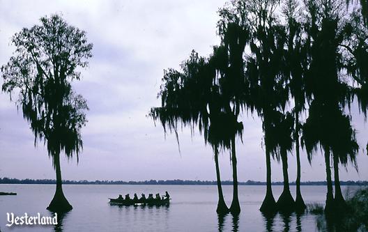 Cypress trees in Lake Eloise