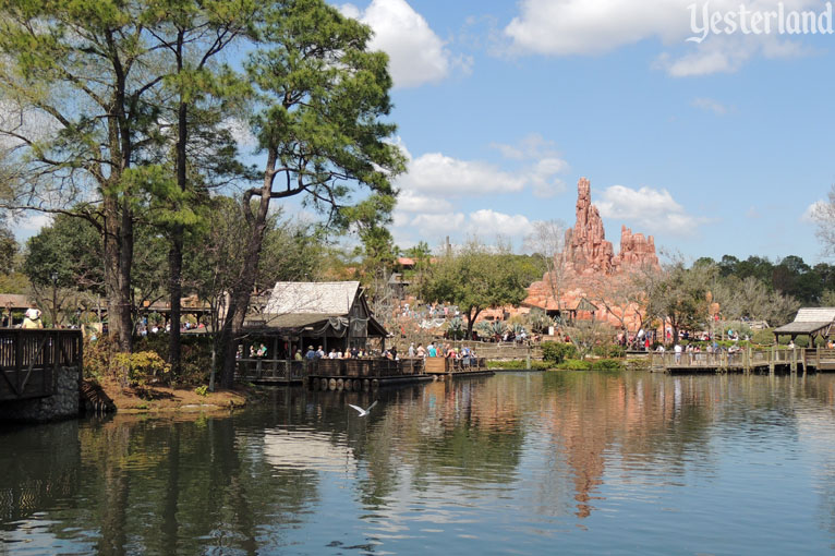 Magic Kingdom, 2016