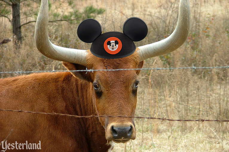 Texas Disney