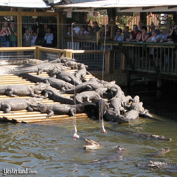 Gatorland