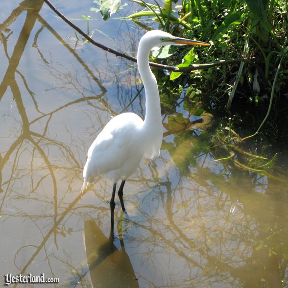 Gatorland