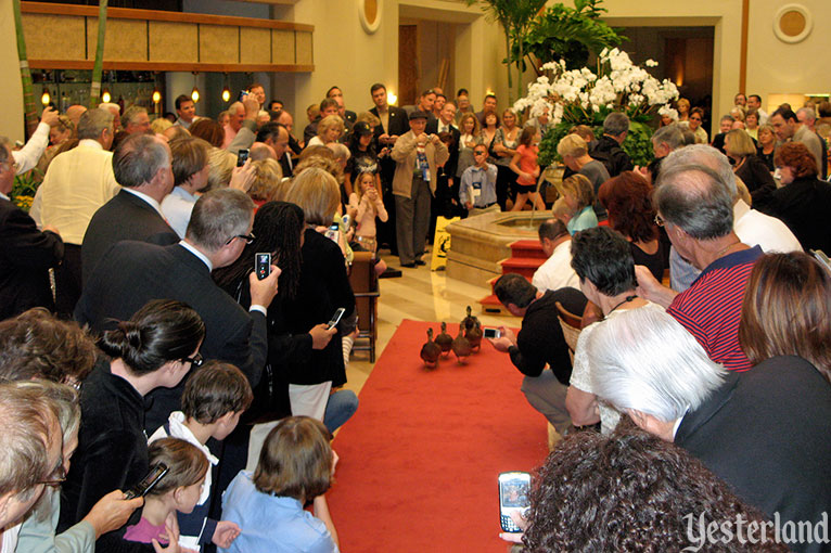 The Peabody Ducks of Orlando