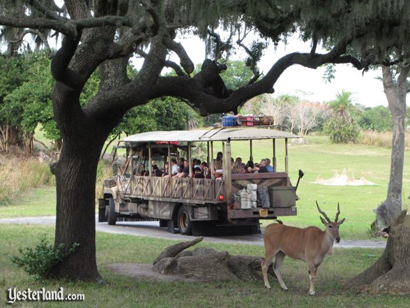 Kilimanjaro Safaris at Disney's Animal Kingdom