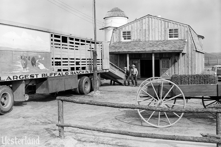 Newport Harbor Buffalo Ranch, photo by Robert Geivet, 1955, courtesy of the Old Orange County Courthouse Museum / Orange County Archives