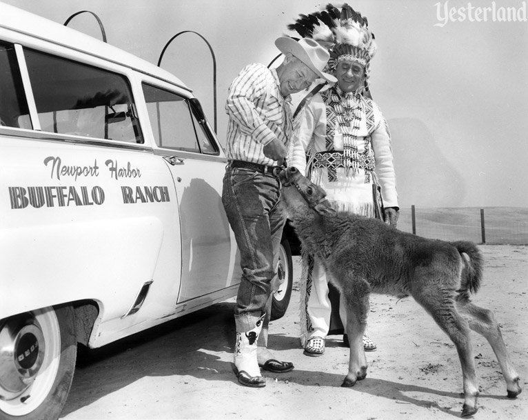 Newport Harbor Buffalo Ranch, photo by Robert Geivet, 1955, courtesy of the Old Orange County Courthouse Museum / Orange County Archives