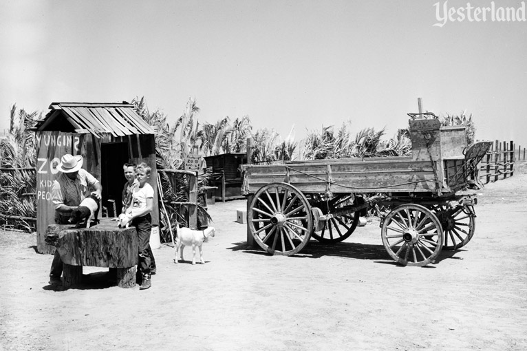 Newport Harbor Buffalo Ranch, photo by Robert Geivet, 1955, courtesy of the Old Orange County Courthouse Museum / Orange County Archives