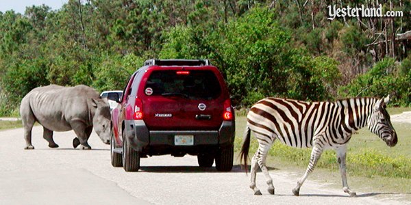 Lion Country Safari in Laguna Hills, California