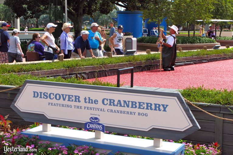 2011 Epcot International Food and Wine Festival